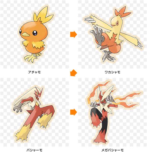 torchic evolve|when does may's torchic evolve.